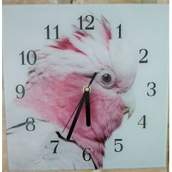 hodiny kakadu ružový
