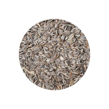 slnečnica veľká pásikatá 2kg