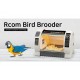 RCom Bird Pavilion 501