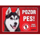 cedulka Husky Malamut