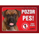 cedulka Boxer