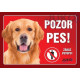 cedulka Retriever