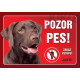 cedulka Labrador hnedý