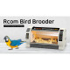 RCom Bird Brooder Large