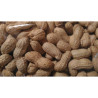 Burské orechy v škrupine 1,5kg