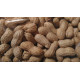 Burské orechy nelúpané 1kg