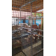 voliera 2x2x1,5m